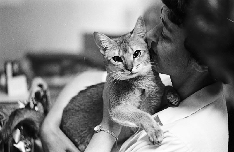 Woman embracing her cat at the 1967 Thorncliffe Cat Show. Image no. ASC010071.